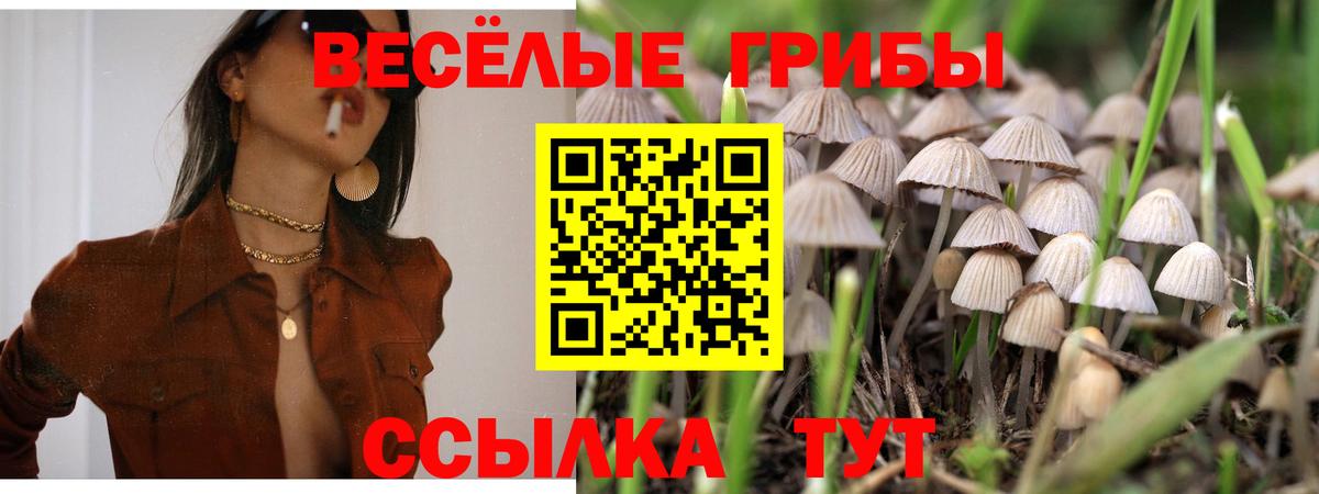 Азнакаево  Галлюциногенные грибы MAGIC MUSHROOMS  купить наркотик  Вход с VPN 